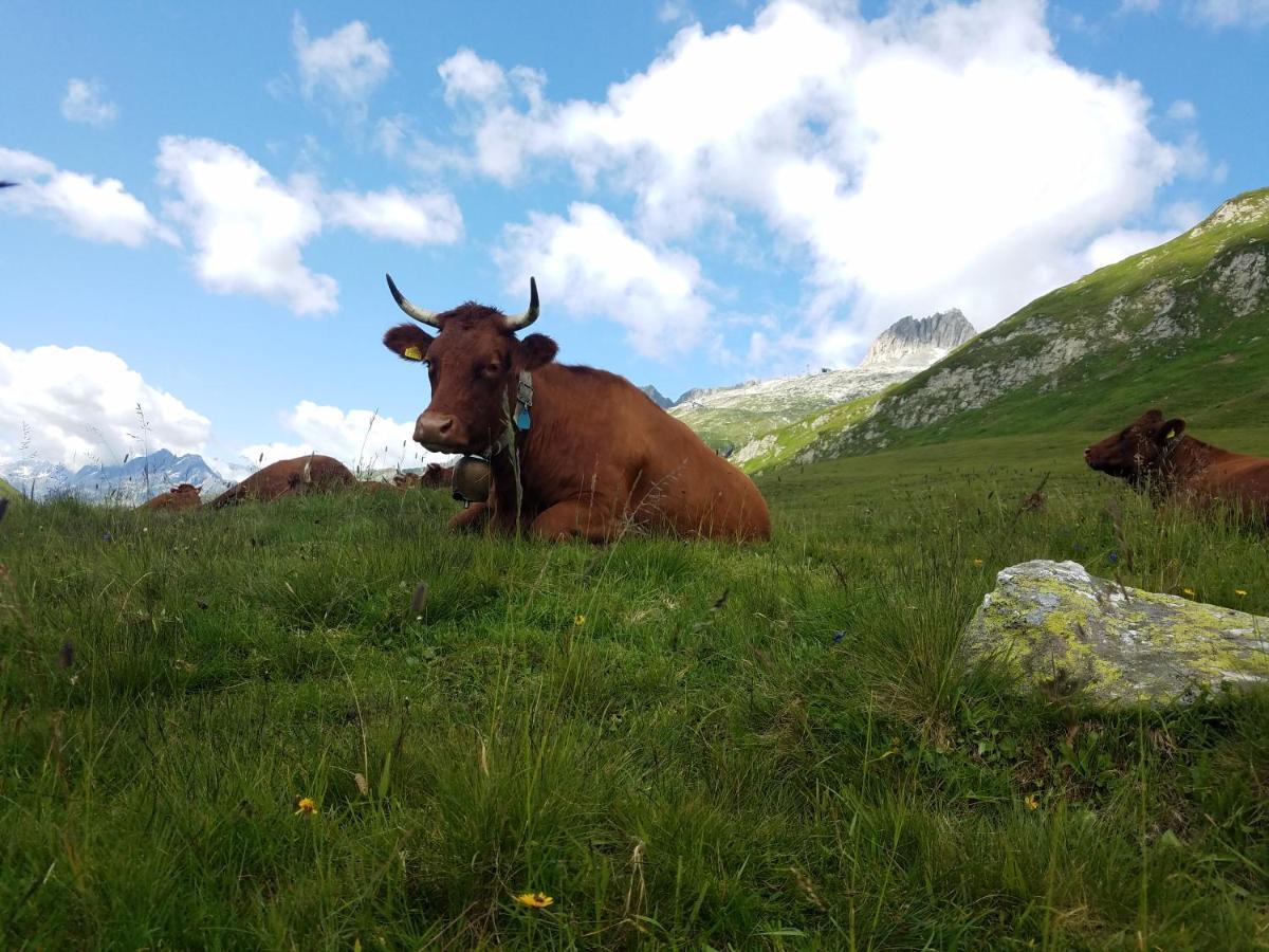 Apartmán Tgesa Felici Sedrun Exteriér fotografie